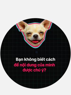 Hãy thử TikTok Ads Manager để phát triển doanh nghiệp của bạn ngay hôm nay!