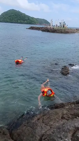 #xuhuongtiktok #namdu #viraltiktok #viralvideo # lặn ngắm san hô