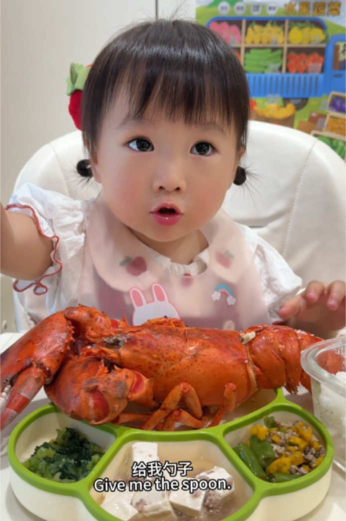 Today’s lunch: Boston lobster, stir-fried pork with green beans, tofu and minced pork soup, and leafy greens.#baby #babygirl #babylove #babyfood #babyeating #cute #cutebaby 