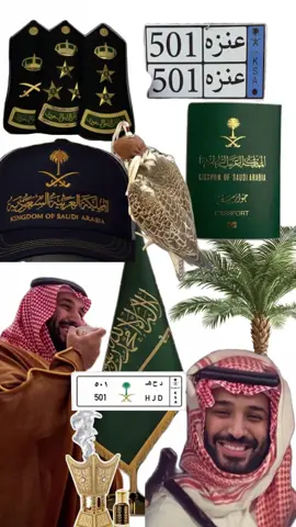 #السعودية #ستوريات #عنزه #المملكه_العربيه_السعوديه🇸🇦 #الملك #محمد#tiktok #ta #explore #forYouPage #the 