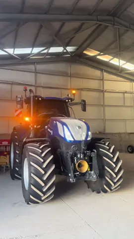Boyna GALAVA #farmlife #newholland #fyp #livestream #farming #likeaboss 