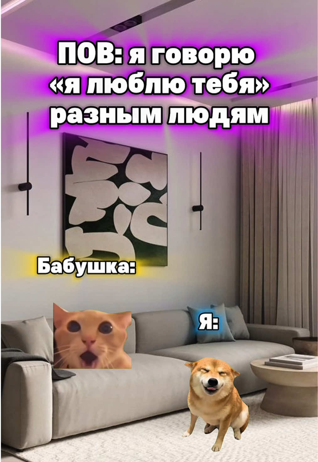 Неловкая ситуация🤣 #котята #мемы #жиза 