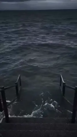 🗿 #funnyvideos #funny #meme 