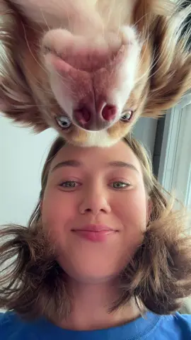 ♥️♥️♥️ #beautifulgirl #dogsoftiktok #dogs #doglover 