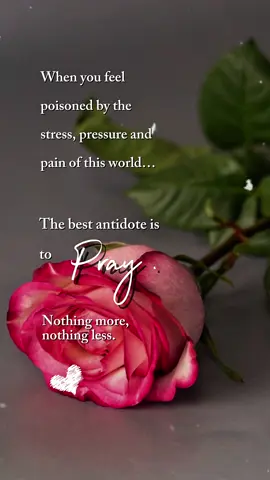Pray 🤍🙏 #CapCut #lifequotes #faith #aesthetic #fyp #inspiration