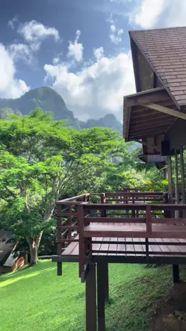 เจอแดดแล้วนะ ☀️🏡🌿⛰️💚🌳 #เขาสก #ภูผาและลําธารรีสอร์ท  #สุราษฎร์ธานี #ล่องแพ #ล่องห่วงยาง