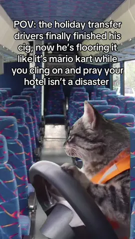 #Meme #MemeCut #holiday #holidaytransfer #travel #spain #turkey🇹🇷 #spain🇪🇸 #greece #bus #aeroplane #catmeme #travelmeme #traveltiktok #holidaycountdown 
