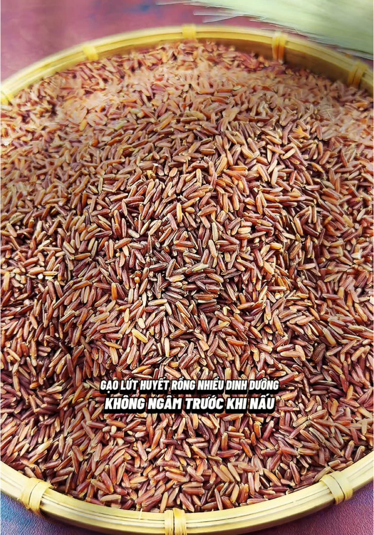 Gạo lứt huyết rồng hữu cơ Thái Organic, còn nguyên cám, không ngâm trước khi nấu và nhiều dinh dưỡng #thuongntb #tiemthuong #thuhaifreeship #muataitiktokshop #reviewanngon #ancungtiktok #mukbang #gaolut #gaoluthuyetrong #gaoluthuyetronghuuco #gaoluthuyetrongthaiorganic #thaiorganic  @Tiệm Thương 