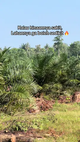 Biar makin menyala ketua🤪🔥 #100hektar #sawit #bossawit #bosmuda #petanimuda #petanisawit #fypシ #fyppppppppppppppppppppppp #fypdongggggggg #fypgakni #xyzbca #xybca 