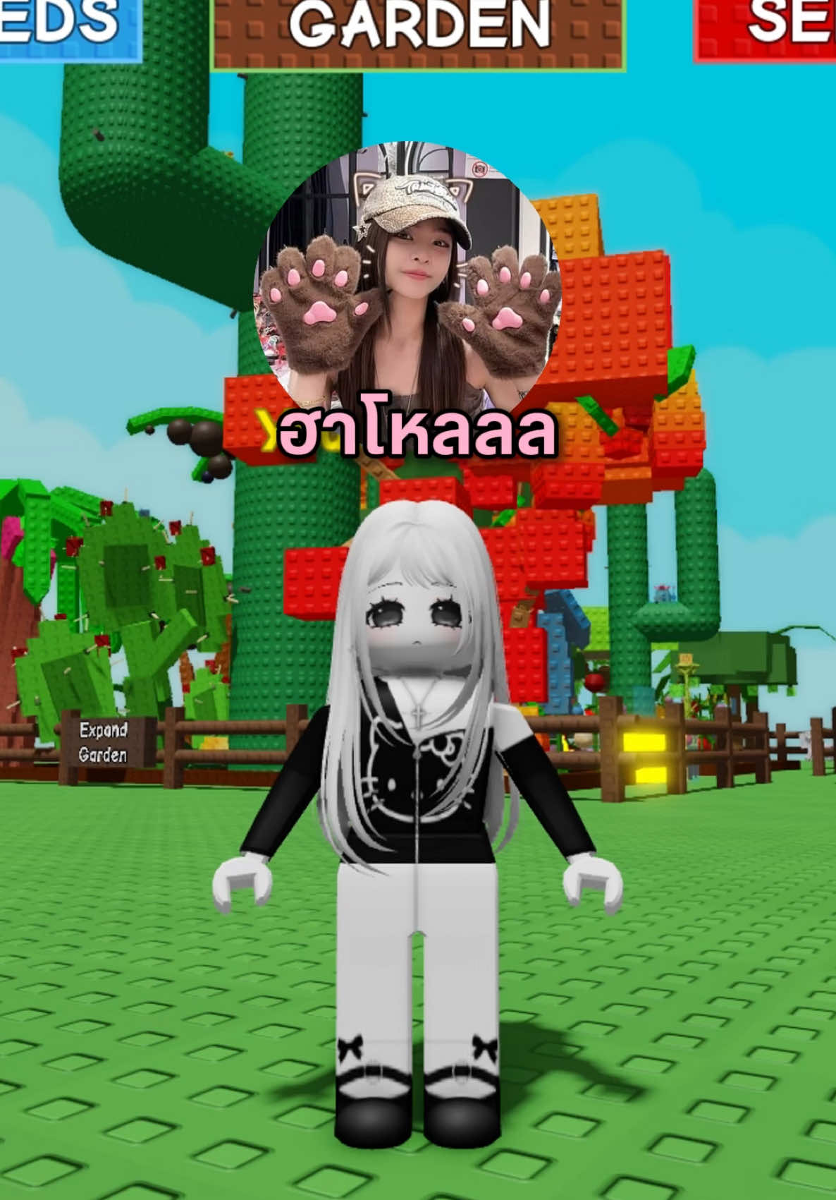 @esbonkk มันสิไห้ละนั่น #roblox #fyp 