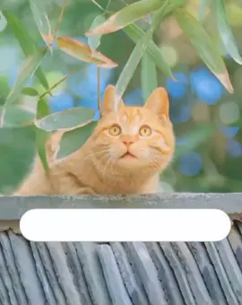 Wakai ustad 😩 #viral #fyp #funnyvideos 