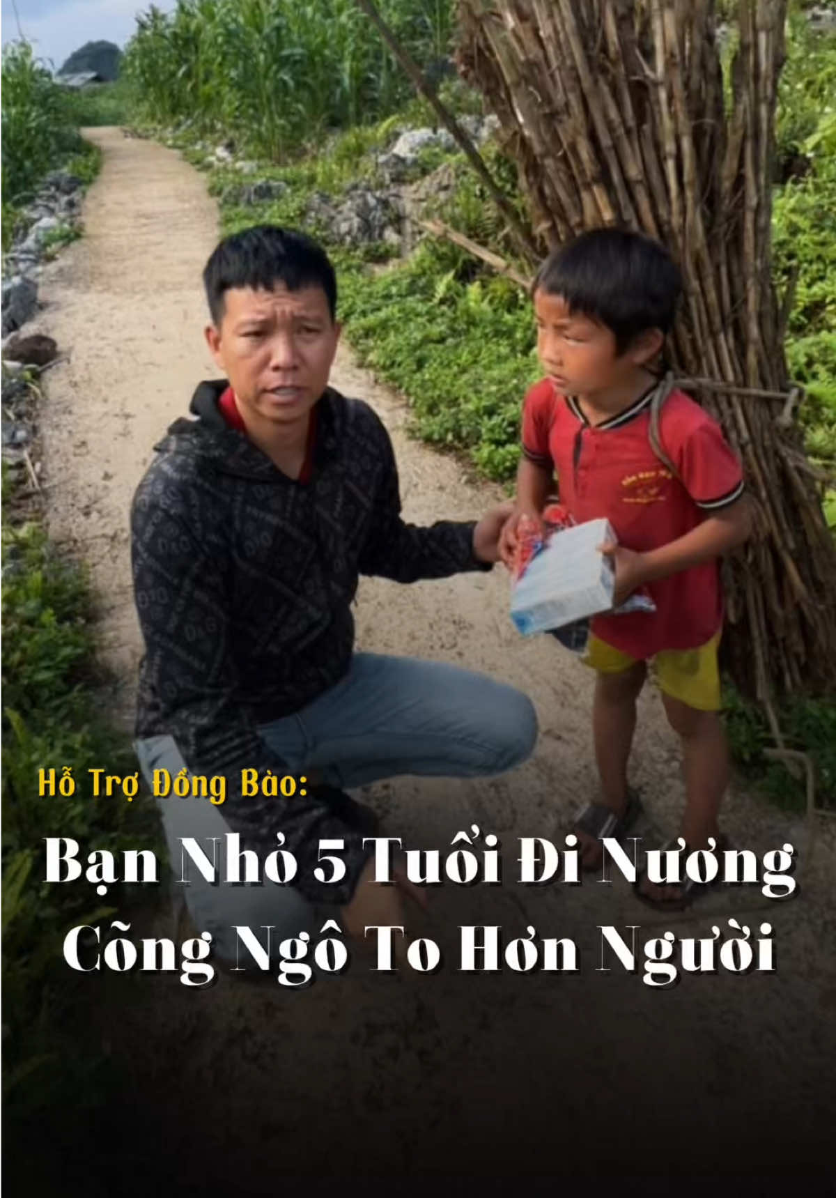 Bạn Nhỏ 5 Tuổi Đi Nương Cõng Ngô To Hơn Người #giadinhhungthinh #caohohungthinh 