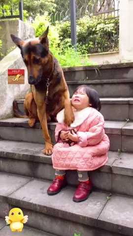 Daily Fights Between Dogs and Babies #fyp #foryoupage #funny #baby #dog #cute 