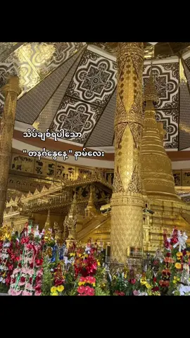 စိတ်ကောက်လွယ်တဲ့နေ့နာမ်🥹#တနင်္ဂနွေ #foryoupage 