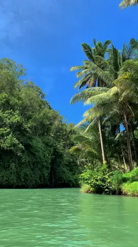 MasyaAllah 💚 #pacitan #sungaimaron #jawatimur @sungai maron officiall 
