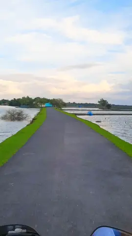 বুকের ভিতর তুমে যেনো ছোট্ট প্রানের পাখি #foryou #foryourepage #tiktok #roadtrip #vairal #nature #satkhira_bd🇧🇩 #travel #