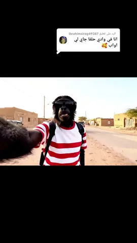 الرد على @ibrahimsirag49387 #السودان #الخرطوم #الشعب_الصيني_ماله_حل😂😂 #حلفا_سكوت_محس_دنقلا💙💙 #حلفا 