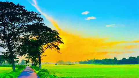 পাখি উড়াল দিছে রে.....🥹💔🥀#viral #foryou #foryoupage #videography #viral_video_tiktok #naturelover #greenscreen 