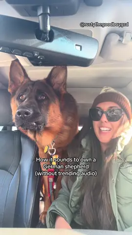 These guys make so many noises it’s crazy 😂❤️🤪 #Tatcha #gsd #dogsofbaltimore #germanshepherds #germanshepherdpuppy #gsdoftiktok #dogmoms  