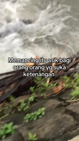 #strymancing #mancing ##fyp 