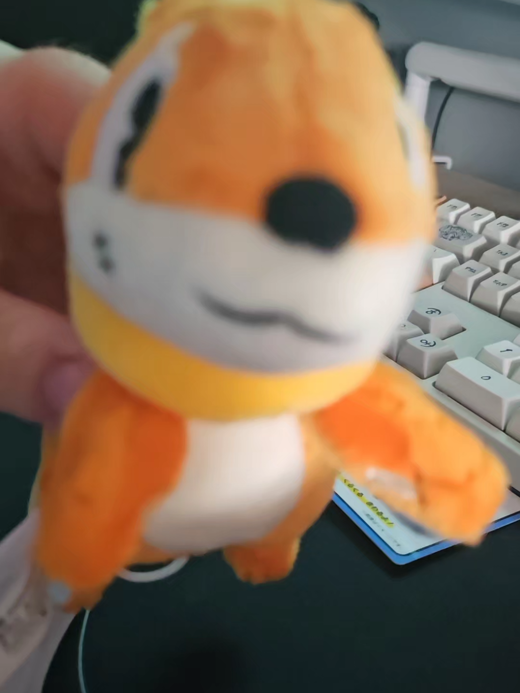 Buizel of sheer delight  #buizel #pokemon #pokemontiktok #pokemonplush #plushies #buizelpokemon 