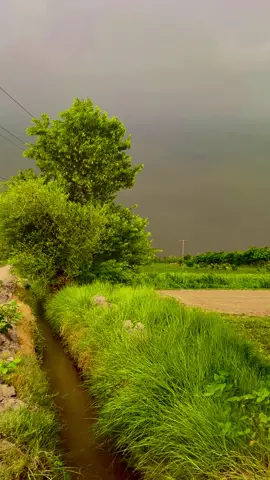 اے ہوا وہ🥰#پنڈاں_آلے_جٹ #پنڈاں_آلے_جٹ #پنڈاں_والے #پنڈاں_آلے_جٹ #pindawale #پنڈاں_والے #foryoupage❤️❤️ #پنڈاں_آلے_جٹ #pindawale 