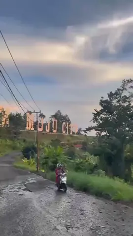 #mamujucity #fyp