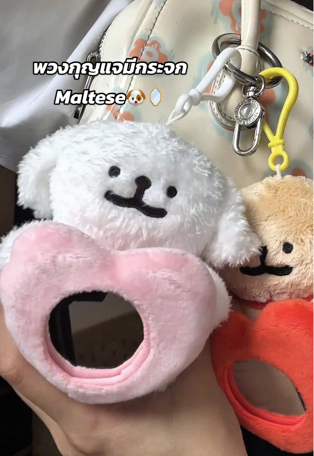 ร้าน AppleSheep: กับพวงกุญแจมอลทีส!🇰🇷 มากับลูกเล่น มีกระจกในตัวตุ๊กตา Maltese 🐶🪞 ห้อยเพิ่มความคิ้วท์ พร้อมฟังก์ชันส่องได้จริง ลิขสิทธิ์แท้ จากเกาหลี น่ารักสุดสุด 🥰 #ร้านAppleSheep #MalteseKeychain #พวงกุญแจห้อยกระเป๋า #MalteseMirror #มอลทีสกระจก 
