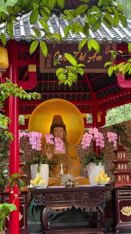 Bình yên đến từ bên trong, đừng tìm nó bên ngoài. -Chùa Cây thị- Hà Nam #xuhuong #chuacaythi #hanam 
