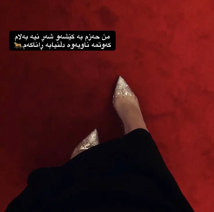 #kurdistan #foryoupagee #foryou #stitch #kuwait #viral #uk #viralvideo 