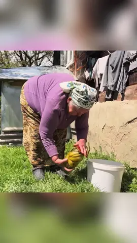 #country #village #cooking #Vlog #countrylife 