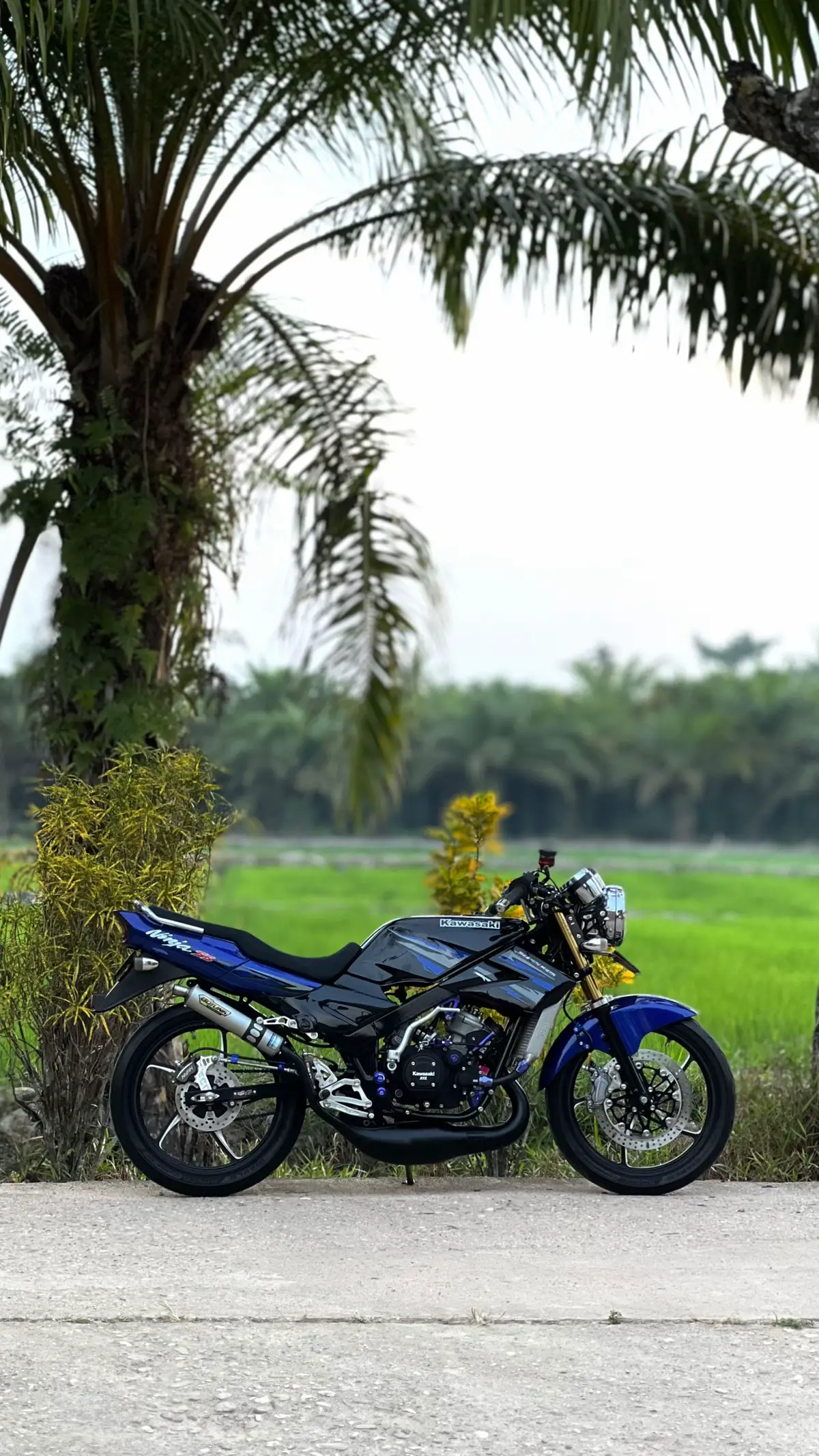 #agstyle #ninjass 