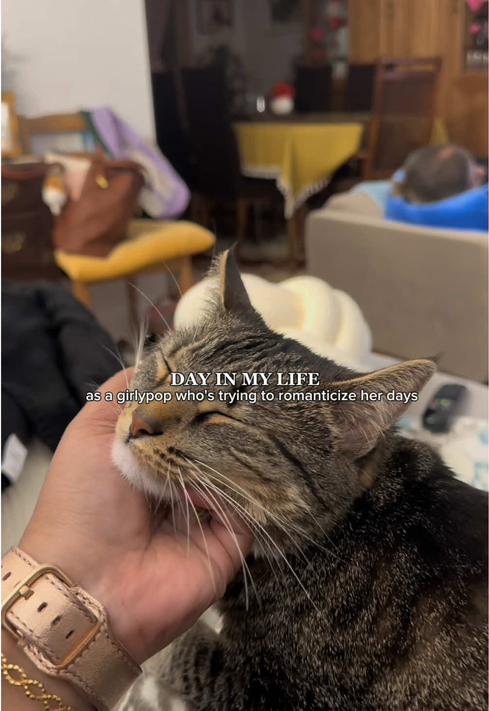 06.25.25 | my favorite part of coming home is misty greeting me 🥹 #dayinmylife #Lifestyle #videodiary #minivlog #dailyvlog #afterworkvibes 