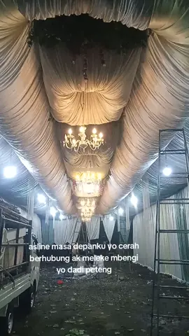 #stekul #stelankulifyp