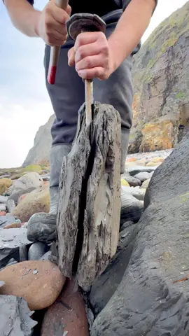 We found this hidden within a huge shale boulder! 🏝️ This must have been buried by the landslide many tides ago 🌊 Hopefully we make another exciting find like like this one soon! 🌅🏝 Thanks for supporting our page! 🐊 #natural #nature #fossil #fossils #ancient #animals #art #ammonite #ammonites #dinosaur #scientist  #minerals #paleontology #whitby #geologist #dorset #geology #charmouth #jurassic #yorkshire #fyp