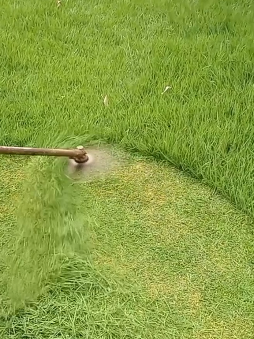 Oddly Satisfying Sensations | Mowing The Lawn Compilation ASMR | #Perfect cutt! 🍀💚 #lawntok #grasstok #gardentok #landscapersoftiktok #asmr #oddlysatisfying #Satisfying #mowing #lawn #garden #clean #CleanTok #landscape #gardening #lawncare #mowingthelawn #lawnmower #brushcutter #lawntiktok #lawnsoftiktok #lawnmowing #lawns #grasstiktok #cuttinggrass #satisfaction #spring #goviral #original #viral #viralvideos #viralvideo #viral_video #tiktok #tiktokviral #viraltiktok #viralvideotiktok #fyp #foryou #foryoupage #fypシ゚ #fypp #fyppppppppppppppppppppppp #parati #fürdich #pourtoi #paratii #paratiiiiiiiiiiiiiiiiiiiiiiiiiiiiiii #capcut #duet #loop #trend #trending #funny #checkthisout #lookatthis #creatorsearchinsights 
