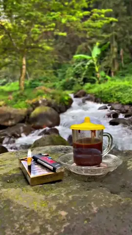 #story #storytime #storywa #storykopi #storykopihitam #ngopi #ngopisantuy #ngopibosss☕☕☕ #ngopimase #ngopimaszeh #dangdut #dangdutkoplo #dangdutan #dangduttiktok #simpatik #simpatikmusic #jawapride🔥 #fyppppppppppppppppppppppp #seniperkopian 