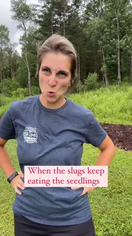 🚀🚀🚀🚀🚀 The slugs are winning and I’m this close to losing it 😩  Every morning I check my garden and it’s like a buffet for these slimy thieves — my poor seedlings never stood a chance! 🥬💔 Garden fam, how do YOU deal with slugs?! I need your best tips, tricks, and grandma’s secret remedies — drop them in the comments! 🐌🔥 #SlugProblem #GardenStruggles #OrganicGardening #GardeningTips #GrowYourOwn #HomeGarden #GardenHelp #GardeningCommunity #PlantProblems #GardenLife #SustainableLiving #DIYGardening #GardenSOS
