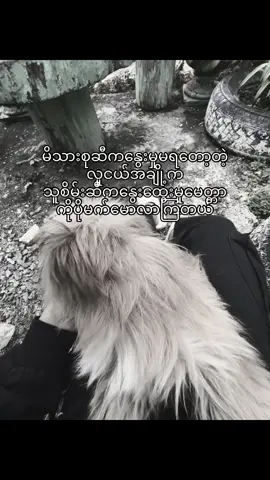 #fyp #foryou #crdစာသား 