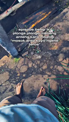 😌 #fypシ #siangmalam #fyp #jowopride #xybca #viral  #masukberandafyp #fypage  #berandatiktok #trendingtiktok #viralvideo #petanimuda #petaniindonesia🇮🇩🇮🇩🇮🇩🌿🌿 #sapiviral #sapi #peternakmuda #peternak #ternosontek  #fyppppppppppppppppppppppppppppppppppp #24jam #jeksoromase #pelitfyp #sad #sadstory #sadvibes #juragansapi #sapingamuk #sapiperah #masukberanda #tiktokpelitfyp #suro #satusuro #100kviews #1suro #malamjumaat #malamsatusuro #pujon #pujonbatumalang #pujon24jam #galaubrutal 