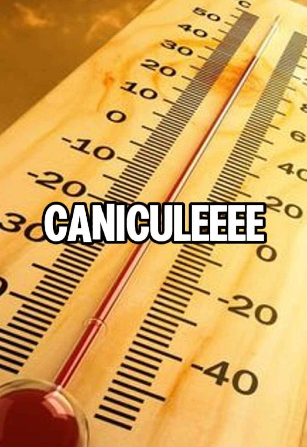 Invitez dans vos piscines la #chaleur #canicule #été #prt #humour #pourtoi #drole 