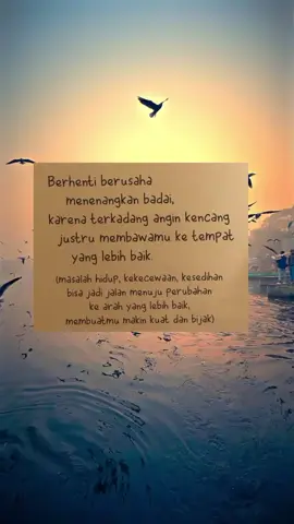 Beta harus sadar, beta hanya pilihan bukan tujuan #hanyapilihanbukantujuan #ridhoallah #bismillah #masyaallahtabarakkallah #alhamdulillah #katakatacinta #katakatamotivasi #katakatabijak #fyp 
