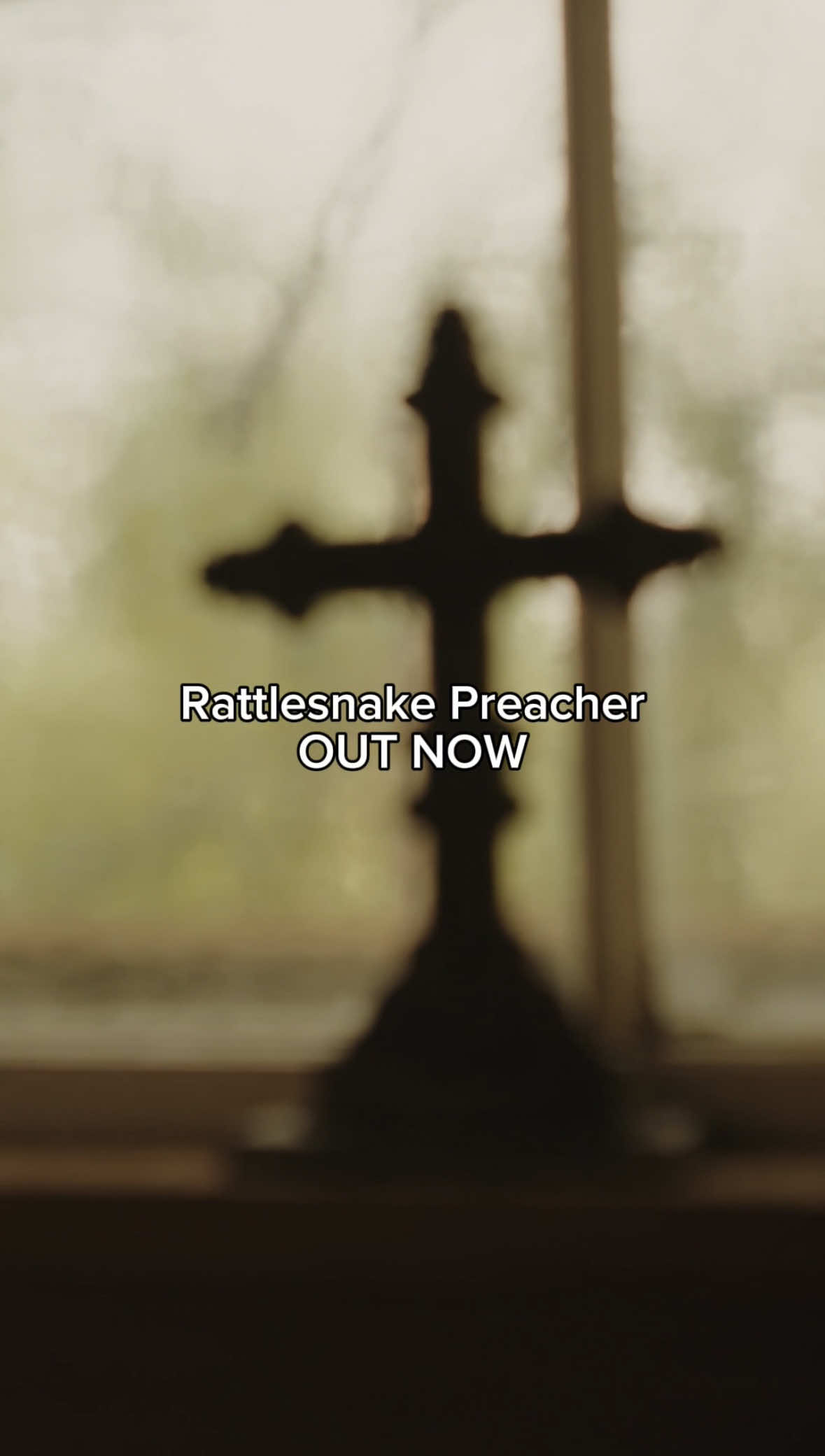 It sure feels good to say this … Rattlesnake Preacher is out now!! This one’s for you. #AshleyMcBryde #RattlesnakePreacher #countrymusic #newmusic #songofthesummer 