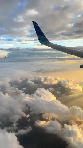 Aku yang jatuh cintaa 😎✈️✨ #pesawat #tiktok #garuda #garudaindonesia #naikpesawat 