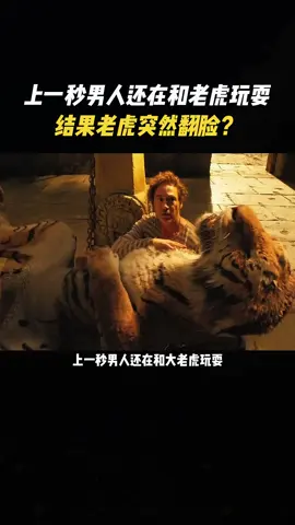 上一秒男人还在和老虎玩耍，结果老虎突然翻脸？#电影解说 #电影推荐 #因为一个片段看了整部剧 #Tatcha 