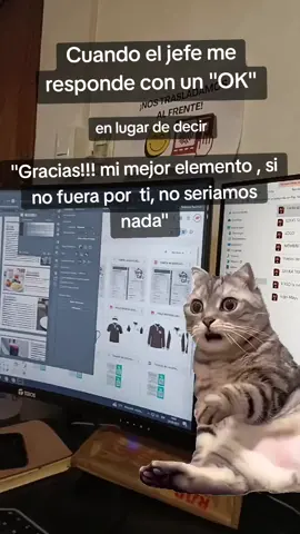 #Meme #MemeCut #CapCut 