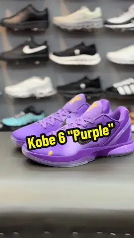 Kobe 6 