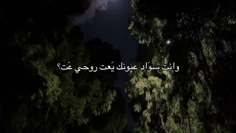يعَت رُوحي عَت .#شعر #fypシ #حب #F #M 