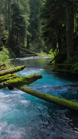 Drifting down the incredibly blue waters of one of Oregon’s most stunning rivers, surrounded by moss-covered logs and towering evergreens. The clarity and color of this river are surreal—like something pulled from a dream. It’s a perfect reminder of the peaceful power and beauty hidden in Oregon’s wild places 😍