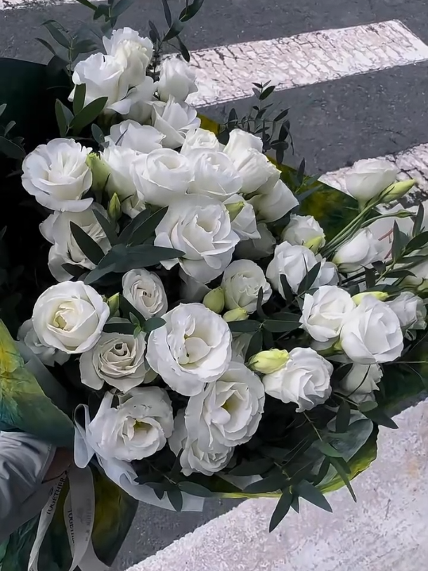 White Roses 🤍 #trending #bouquet #girl #reels #girls #roses #white #whiteroses 